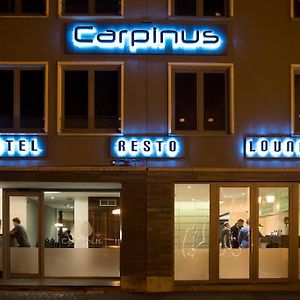 Hotel Carpinus Lovaina Exterior photo