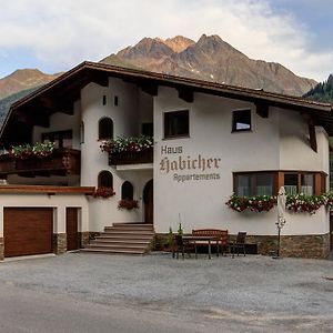 Appartement Habicher Pettneu am Arlberg Exterior photo