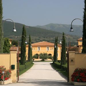 Delfina Palace Hotel Foligno Exterior photo