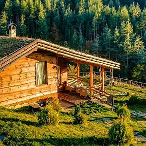 Панорама Хаус Лещен И Еко Къщи Дървена И Землянка Villa Exterior photo