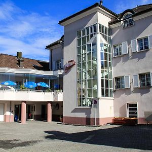 Schweizerhof Hotel Mels Exterior photo