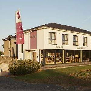 Hotel Meyerhof - Weingut, Vinothek & Gaestehaus Flonheim Exterior photo