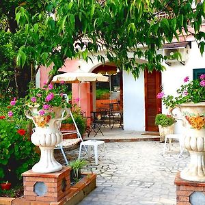 Nonna Vincenza Bed and Breakfast Maratea Exterior photo