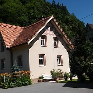 Apartamento Haus Rosegger Feldkirch Exterior photo