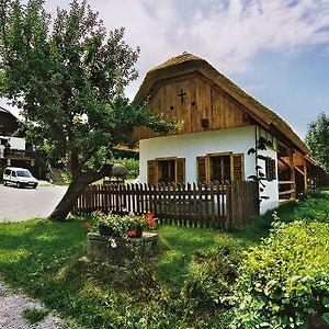 Tourist Farm Ferencovi Villa Cankova Exterior photo