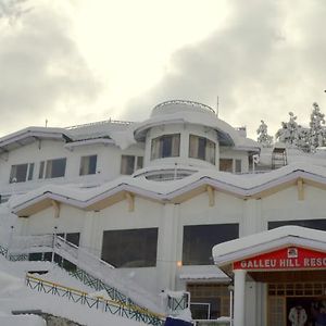 Galleu Hill Resort Shimla Exterior photo