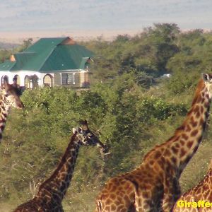 Narasha Homestay - Maasai Mara Talek Exterior photo