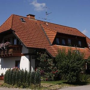 Haus Kandelblick Furtwangen Exterior photo