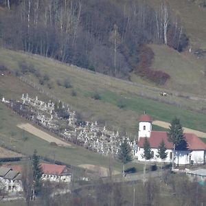 Pensiunea Margareta Villa Sita Buzăului Exterior photo