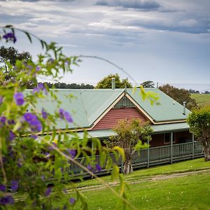 The Bryn At Tilba Bed and Breakfast Central Tilba Exterior photo