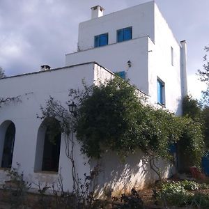 Aiolos Villa Skála Exterior photo