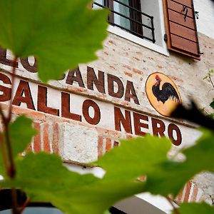 Hotel Al Gallo Nero Borgoricco Exterior photo