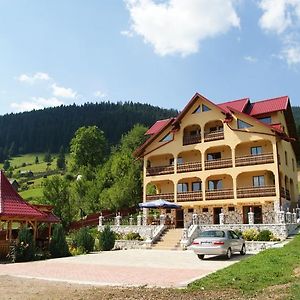 Hotel Pensiunea Alunis Sadova  Exterior photo