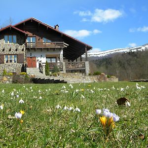 Chalet Kukavica Villa Zhdeniievo Exterior photo