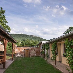 Hotel Penzion Marhulka Dolni Vestonice Exterior photo