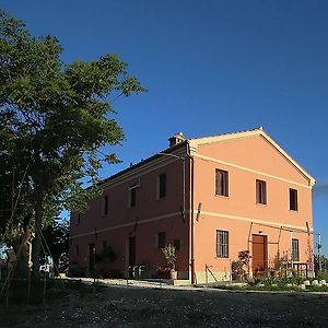 Apartamento Quindici Alberi Serra deʼ Conti Exterior photo