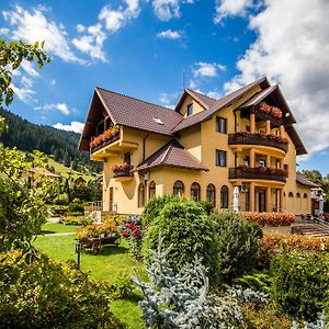 Hotel Pension Dor de Munte Sadova  Exterior photo