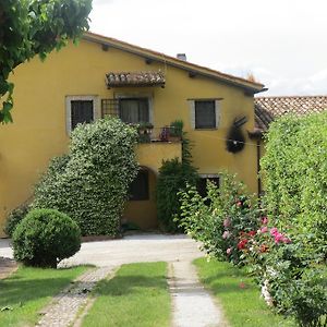 Il Gelso Nero Villa Castelnuovo di Farfa Exterior photo