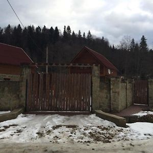 Guest House In Carpathians Migovo Exterior photo