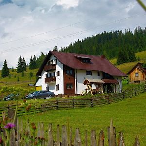 Hotel Casa Din Plai - Bucovina Moldova Sulita Exterior photo