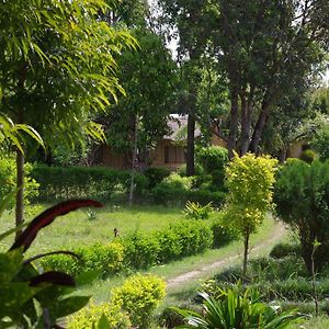 Hotel Jungle Base Camp Bardiya Exterior photo