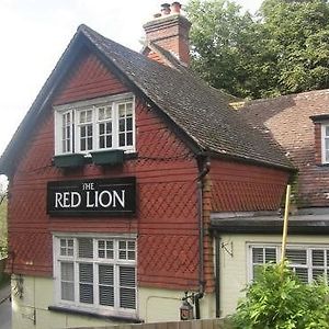 Hotel The Red Lion Betchworth Exterior photo