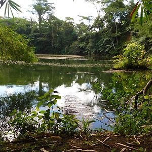 Rainforest Eco Lodge Suva Exterior photo