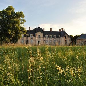 Chateau La Touanne Loire Valley Bed and Breakfast Baccon Exterior photo