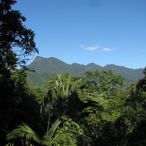 Mossman Gorge Bed And Breakfast Exterior photo