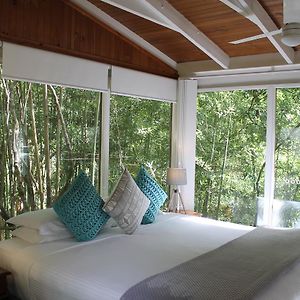 Kondalilla Eco Resort Montville Exterior photo
