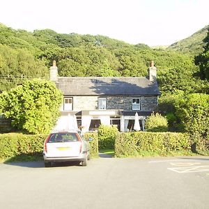 The Dolgoch Bed and Breakfast Bryn-crug Exterior photo