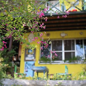 Old Farmer Homestay Zhudong Exterior photo