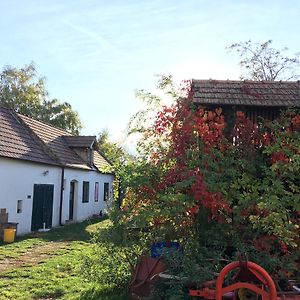 Apartamento Am Ziegenhof Parndorf Exterior photo