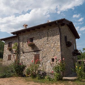La Piana Dei Castagni Villa Castel dʼAiano Exterior photo