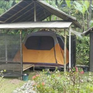 Hotel Herman Lantang Camp Bogor Exterior photo