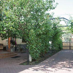 Chagari Hotel Beregovo Exterior photo