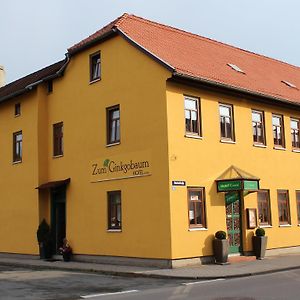 Hotel Zum Ginkgobaum Stadtilm Exterior photo
