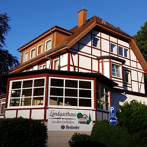 Hotel Landgasthaus Zu Den Erdfaellen Bad Pyrmont Exterior photo