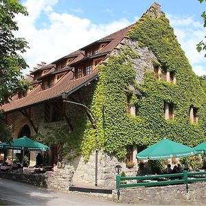 Wasserstelz Historisches Genusshotel & Restaurant Am Rhein Hohentengen am Hochrhein Exterior photo