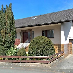 Spacious Holiday Home With Sauna In Sauerland Frankenau Exterior photo