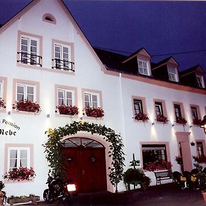 Hotel Gasthaus Zur Rebe Mehring  Exterior photo