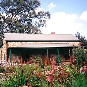 Amanda'S Cottage 1899 Mclaren Vale Exterior photo