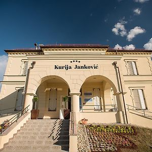 Hotel Kurija Jankovic Lukac Exterior photo