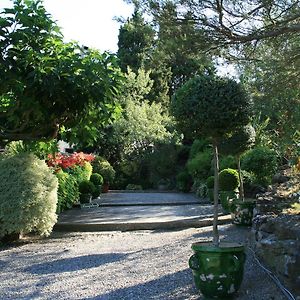 La Maison Sur La Colline Bed and Breakfast Carcasona Exterior photo