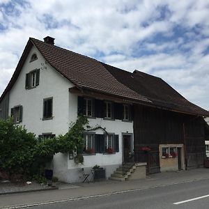 Airport Zürich Elwiras B&B Lufingen Exterior photo