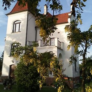 Villa Liduška s restaurací Bechyně Exterior photo