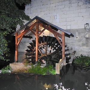Le Moulin De Saussaye Bed and Breakfast Crouzilles Exterior photo