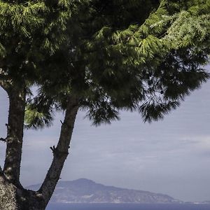 Il Giardino Dell'Arte Bed and Breakfast Anacapri  Exterior photo