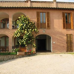 Agriturismo Vocabolo Palazzo Bed and Breakfast Solomeo Exterior photo