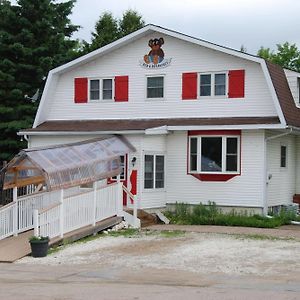 Hotel Teddy Bear Bed & Breakfast Bancroft Exterior photo